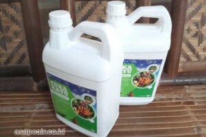 Produsen Cuka Kayu Maybrat Berkualitas