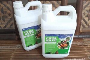 Produsen Cuka Kayu Mimika Harga Terjangkau