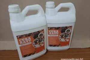 Produsen Cuka Kayu Nagekeo Harga Terjangkau