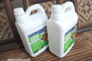 Produsen Cuka Kayu Nduga Berkualitas