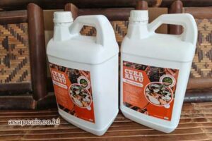 Produsen Cuka Kayu Padang Harga Terjangkau