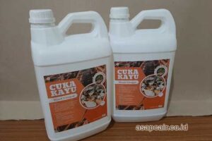 Produsen Cuka Kayu Padang Lawas Utara