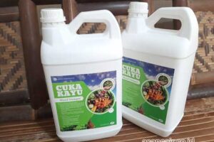 Produsen Cuka Kayu Padang Pariaman Berkualitas