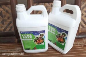 Produsen Cuka Kayu Pasaman Barat