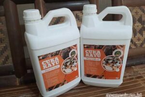 Produsen Cuka Kayu Raja Ampat