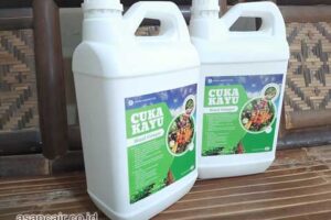 Produsen Cuka Kayu Seluma Harga Terjangkau