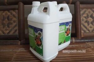 Produsen Cuka Kayu Serdang Bedagai Berkualitas