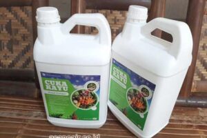 Produsen Cuka Kayu Sijunjung Berkualitas