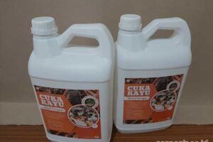 Produsen Cuka Kayu Sikka Harga Terjangkau