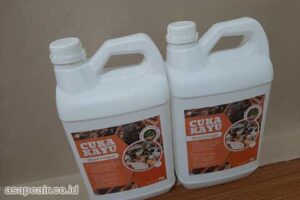 Produsen Cuka Kayu Sumbawa Barat Berkualitas