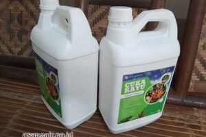 Produsen Cuka Kayu Supiori Harga Terjangkau