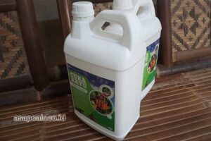 Produsen Cuka Kayu Tanjungbalai Berkualitas