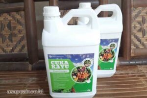 Produsen Cuka Kayu Teluk Wondama