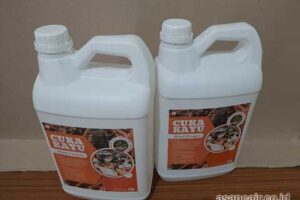 Produsen Cuka Kayu Timor Tengah Utara