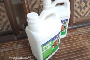 Produsen Cuka Kayu Yalimo Harga Terjangkau